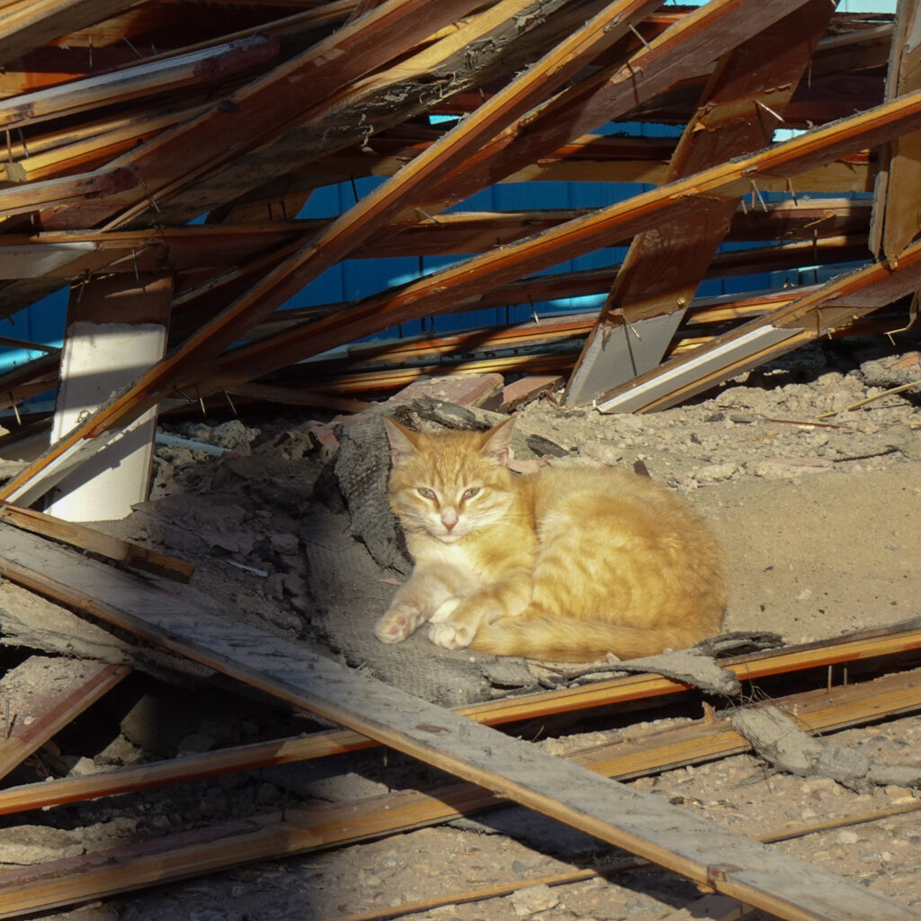 Destruction of city of Imsouane in Morocco in January 17th 2024